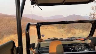 Marakele: Safari on the jeep