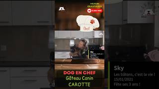 🥧 On cuisine chien !🐕 #pourchien #recettepourchien #cuisinechien #tutochien #monchien #monchienmavie