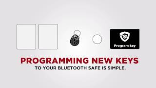 How to Program Additional Keys to your Bluetooth Vent Safe.