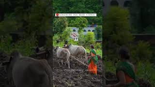 😍Pahadi status I| New kumaoni status | trending kumaoni status | Garhwali status | #shorts #short 💫