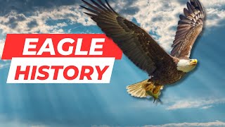 The Majestic Soarers: A Historical Journey through the Eagle