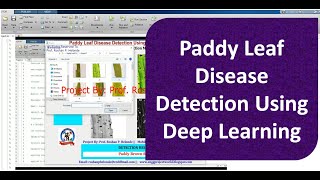 Paddy Leaf Disease Detection Using Deep Learning | Paddy Plant Disease Detection Using Matlab Code