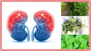 7 Best Herbs For Natural Kidney Cleansing | Nutrition Facts