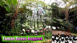 Orchid forest cikole Lembang Bandung Terkini