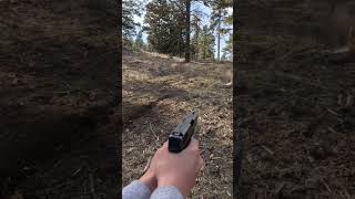 Recoil of Different Handgun Rounds| .380 Auto, 9mm Luger, .45 ACP