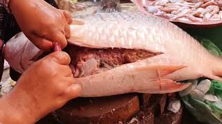 The biggest Parrot fish for this morning, Market Life, Buying and selling at the market