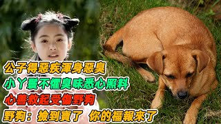 民間故事：公子得惡疾渾身惡臭，小丫鬟不懼臭味悉心照料，心善救起受傷野狗，野狗：撿到寶了，你的福報來了