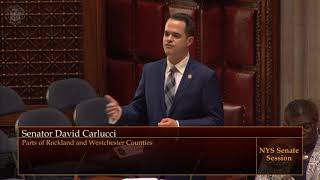 Carlucci’s Legislation Banning Crib Bumper Pads Passes in NYS Senate