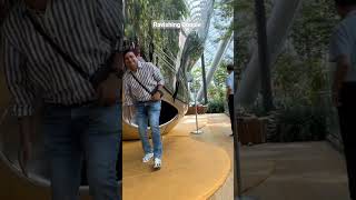 Canopy Park -Jewel -Singapore Changi Airport #shortvideo #canopypark #jewel #explore #singapore