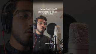 Daily Quran Recitation | Surah Furqan Beautiful Recitation | Mohammed Amin #shorts #quran #islam