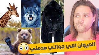 ما روحك الحيوانية؟ اختبارمسلي للاطفال ... ما توقعت كون ال... 😂😂