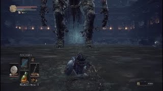 ~SL1 CHATEDRAL'S GIANT DUDES~