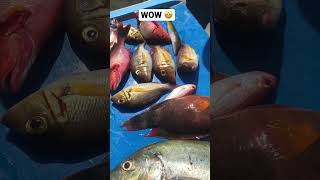 Boat Fishing #fishing #jigging #fishinggame #fishingphilippines #fish #verticaljigging #fishing