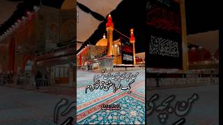 من بچه ی پایین این شهرم | امام حسین (ع) | کربلا | نجف | عصرظهور #اسلام #امام_حسین #کربلا #شیعه