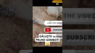 GĂLUȘTE CU PRUNE-GOMBOTI #reteteusoare #reteterapide #shorts #1million #viral #food