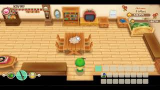 Festival Kembang Api || Story of Seasons: Friends of Mineral Town