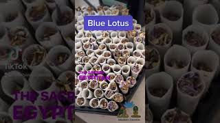 Blue Lotus Dried Flower Herbal Pre Roll | Egyptian Lotus Flower