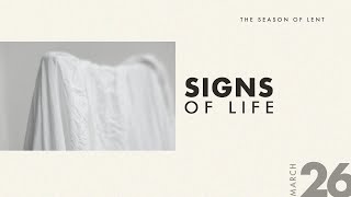 🔴Collective Online | Signs Of Life