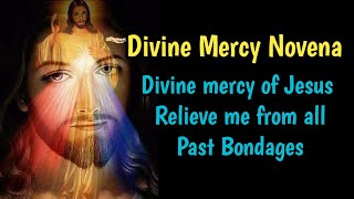 Daily Divine Mercy Novena | Day 8 | Jesus Relieve me from all Past Bondages