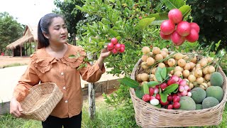 Pick fresh fruits from grandmother's back yard for my recipe / Cooking with Sreypov