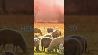 Works, the 7th day, rest, the sheepfold, and other sheep.