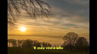 Towards the Sun (Em direção ao Sol) - Mix boom (legendado pt-br) by kramer 2022