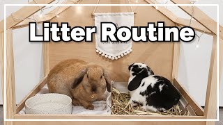 Our Litter Routine