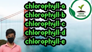 chlorophyll-a//=#chlorophyll-a#chlorophyll-b#chlorophyll-c#chlorophyll-d#chlorophyll-e