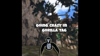 GOING CRAZY IN GORILLA TAG!!