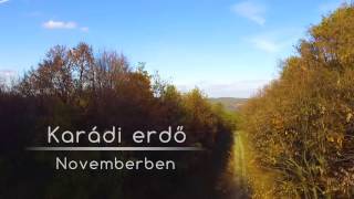 Karádi erdő | Novemberben