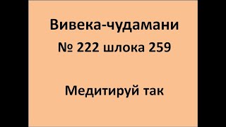 ВивекаЧудамани курс Свамини Видьянанды Сарасвати 222 шлока 259 Медитируй так