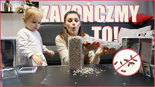 POWRÓT NIEPROSZONYCH LOKATORÓW 😖 / VLOG