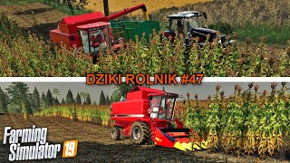 ⭐ Farming Simulator 19 Dziki Rolnik #47 😱 Akcja Kukurydza Na Ziarno