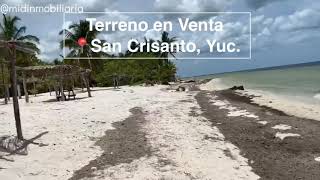 Terreno frente al mar en San Crisanto Yucatán Mx.