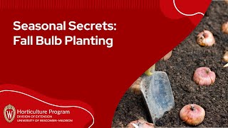 Seasonal Secrets: Fall Bulb Planting