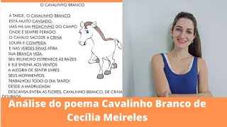 Análise do poema Cavalinho Branco de Cecília Meireles