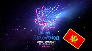 Junior Eurovision Song Contest 2015. Top 14