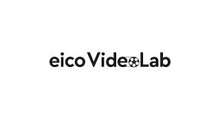 Eico VideoLab