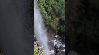 Monsoon waterfall in the jungle 😯😯#shorts #waterfall #sahyadri #westernghats #mountains