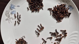 Clove .लौंग. لونگ۔  قرنفل۔