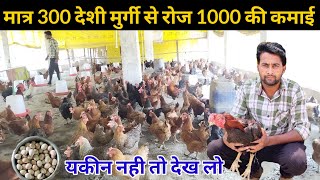 300 देशी मुर्गियों से रोज 1000 की कमाई Deshi Poultry Farming #deshimurgipalan