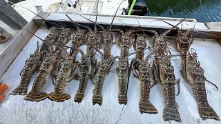 Mini lobster season (Day 1) in the FL Keys.