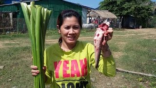 Village Food Factory - Beautiful Girl cooking Cambodian food - Amazing street food(part 12)