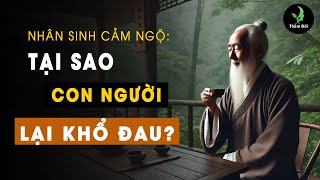 Tại Sao Con Người Lại Khổ Đau? Triết Lý Sống Khôn Giúp Cả Triệu Người Tỉnh Ngộ