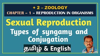 Sexual reproduction  - Types of Syngamy in Animal & Conjugation - சிங்கமி மற்றும் வகைகள்.