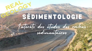 Sedimentology in brief