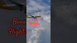 Beautiful flight flying/#viralvideos #youtubeshorts #tendingvideo #flight