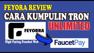 REVIEW WEBSITE FAUCHET TERBARU 2022 HIGH PAYING FEYORA