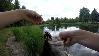 Jig Fishing For Pond Bass!! | Jig Fishing Tips!!