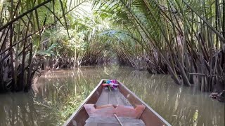 River boat tour Surat thani, thailand, 🇹🇭